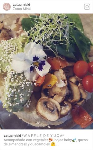 Waffle de yuca, acompañado con vegetales , hojas baby , queso de almendras  y guacamole    at Zatua Miski in Cuenca