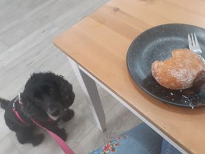  at 269 Vegan in Perth