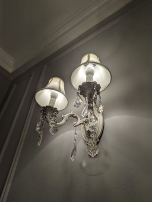   at Vegan Danish Bakery in Toronto