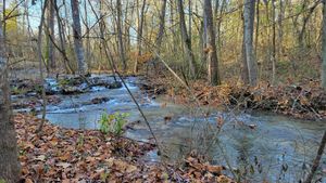 Hidden stream on the property at Sundogs Bed and Breakfast in Shepherdstown