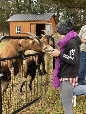 Sundogs B&B  at Sundogs Bed and Breakfast in Shepherdstown