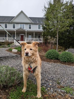 Yurie posing in front :) at Sundogs Bed and Breakfast in Shepherdstown
