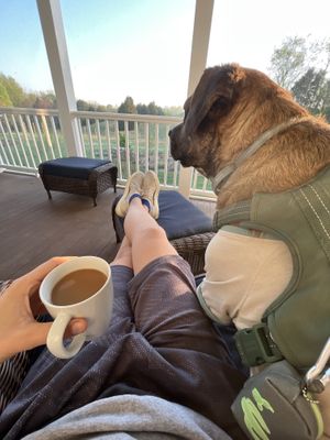 Screened in porch & morning coffee   at Sundogs Bed and Breakfast in Shepherdstown