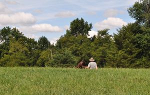 Opening late September 2018! Visit www.sundogsbb.com for more information! at Sundogs Bed and Breakfast in Shepherdstown