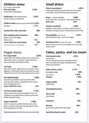 vegan menu  at Kaffi Laekur in Reykjavik