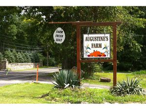 Sign at Augustine's Farm in Greenwich