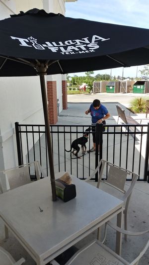 dog friendly outdoor patio, which is shaded in the afternoon at Tijuana Flats in West Melbourne