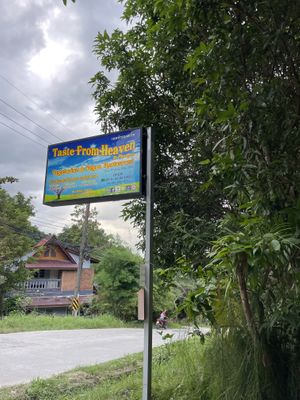   at Taste From Heaven in Koh Phangan