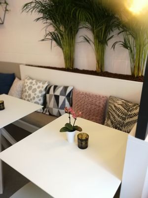 Lento at Lento in Hasselt