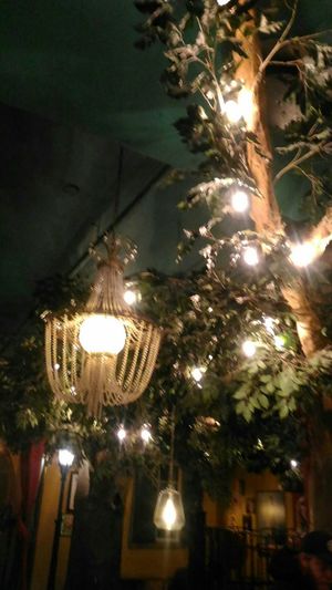 Blurry but the chandelier! at Economy Shoe Shop in Halifax