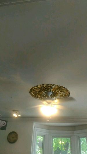 Beautiful ceiling at Glitter Bean in Halifax