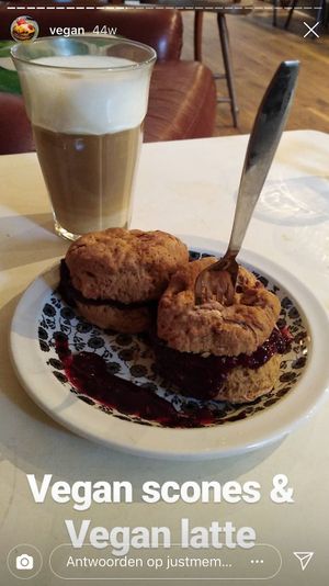 Delightful  at Appeltje Eitje - Centre in The Hague