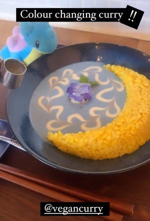   at Vegan Cafe PQ's in Tokyo