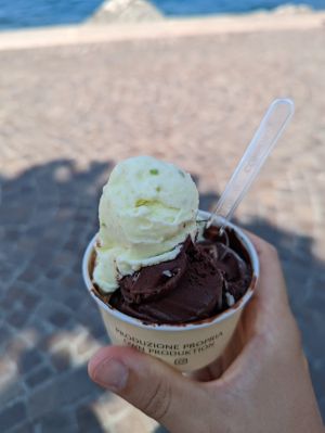 Veganes Schoko Eis und Sorbet at Miralago Bar Gelateria in Torri Del Benaco