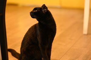   at KITTCHEN in Hawkshead