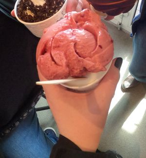 Himbeer und Zitronen Sorbet at Café Fru Dax in Romo