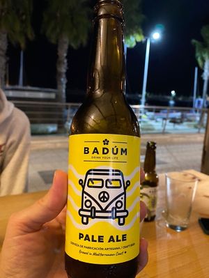 Bière artisanale locale! at Cor de Carxofa in Benicarlo