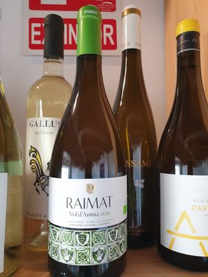 Variedad de vinos veganos at Cor de Carxofa in Benicarlo