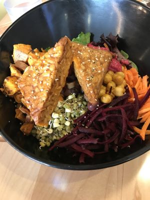 Aristotle Bowl at Copper Branch in Kingston