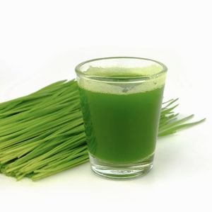 Wheatgrass shot  at Tasi Bites and Blends in Mount Pleasant