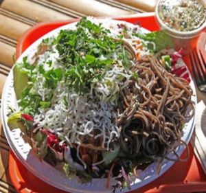 Chilled orient: buckwheat noodles, tofu, carrots, cucumbers, cilantro, rice sticks, black sesame seeds, seaweed, baby greens.  at HealthyCA in North Hollywood