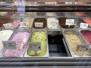 Many vegan flavours (April 2023)  at La La Ijs in Amsterdam