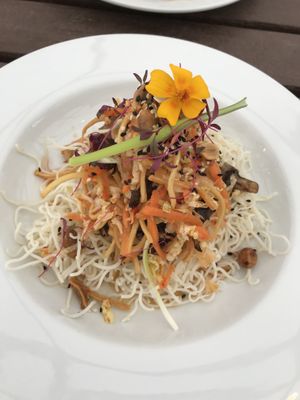 Noodles  at Offbeet - New Forest in Southampton