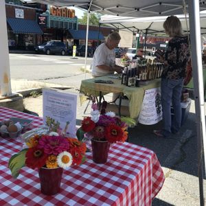 Vendors at Ellsworth Farmer's Market in Ellsworth