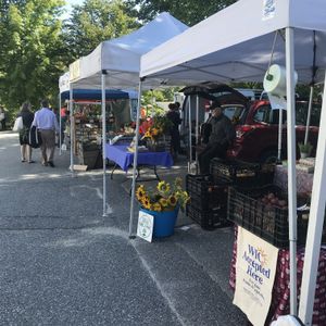 Vendors at Blue Hill Farmer's Market in Blue Hill
