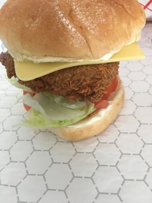Fried chikn sandwich  at Thank Goodness It's Vegan in Goshen