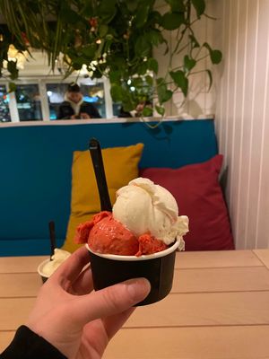 Coconut, and Raspberry Sorbet at Marshall's Gelato in Sarajevo
