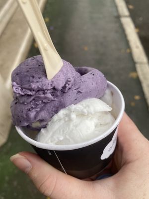   at Marshall's Gelato in Sarajevo