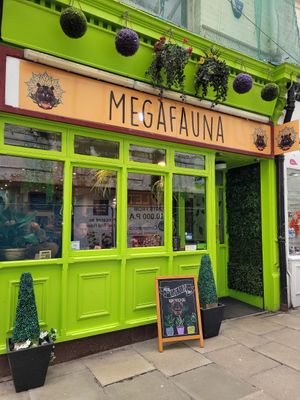  at Megafauna in Southport