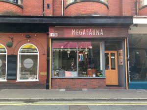 Cute little cafe at Megafauna in Southport