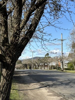 The quiet street the cafe is on  at Mr. in Macedon