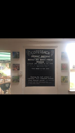   at The Yard Cafe in Lutterworth