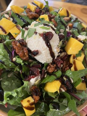   at Nammi Plant Lab in Seoul