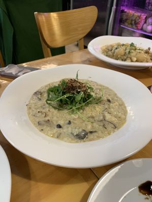   at Nammi Plant Lab in Seoul