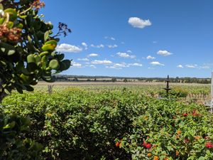 View from the outdoor tables at Amanda's on the Edge in Pokolbin