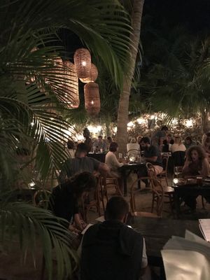 Seating area below the palms at LUUMA in Holbox