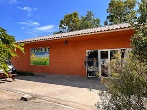   at La Roulotte Produits Bio in Corsica