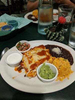 Enchiladas at Luna Verde Vegan Mexican Restaurant in Bradley Beach