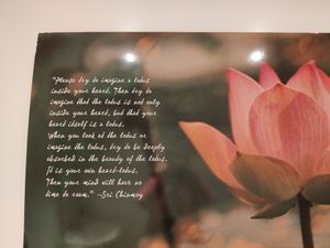  at The Lotus-Heart Restaurant in Christchurch