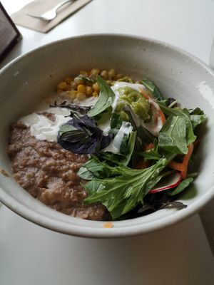 Chipotle Burrito Bowl at The Lotus-Heart Restaurant in Christchurch