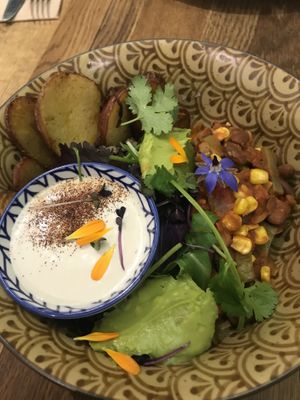 Peace bowl at The Lotus-Heart Restaurant in Christchurch