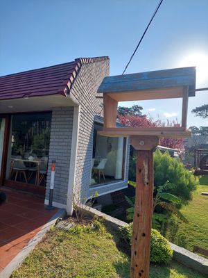  at Oli Veggie Food in Punta Del Este