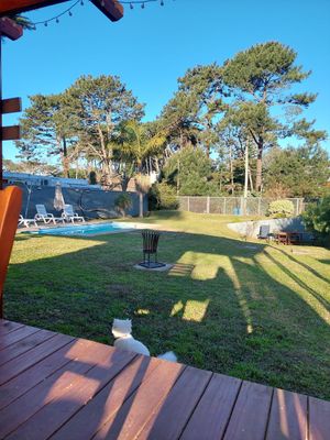  at Oli Veggie Food in Punta Del Este