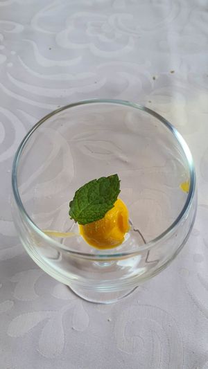 Complimentary Mango sorbet palate cleanser at Goya in Funchal