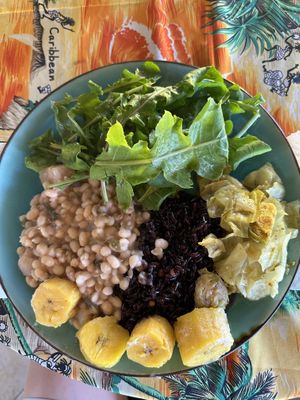 Black Rice, White beans, Brussle sprout stew, Plantain, Fresh salad  at Freedom Fighters Ital Shack in Philipsburg