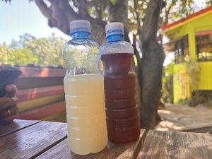   at Freedom Fighters Ital Shack in Philipsburg